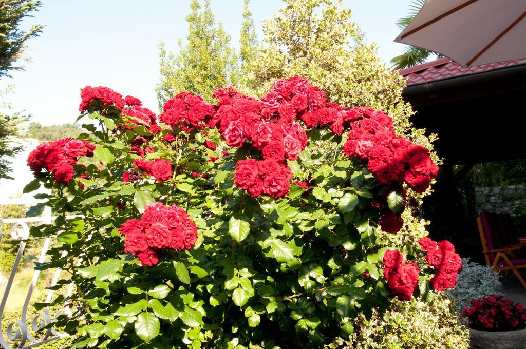 Bed & Breakfast Villa Klara Ičići 部屋 写真